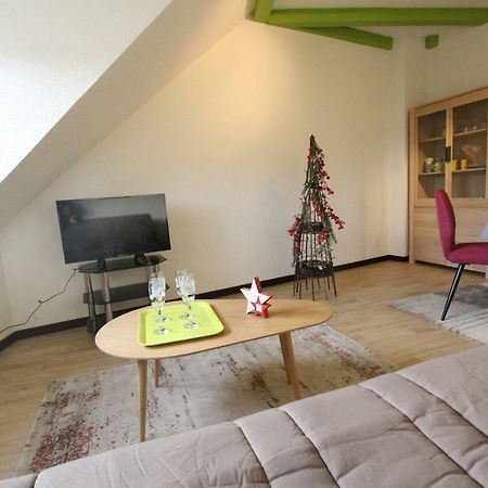 Colmar Historic Center - Cosy Appartement Turenne 2 - Bookingalsace Ngoại thất bức ảnh