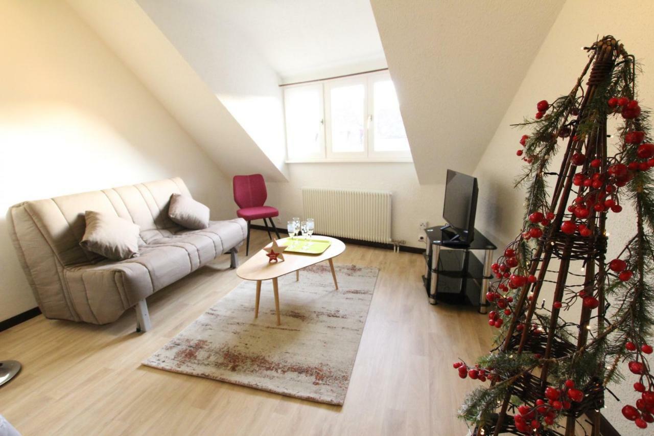 Colmar Historic Center - Cosy Appartement Turenne 2 - Bookingalsace Ngoại thất bức ảnh
